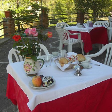 Hotel Il Poggetto Castellina Marittima Extérieur photo