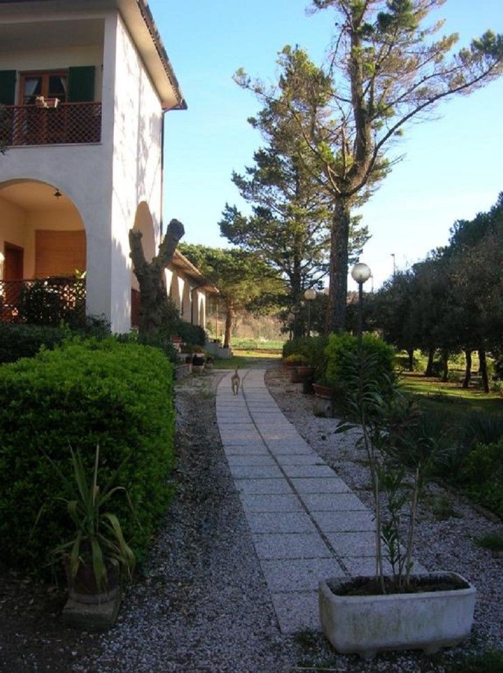 Hotel Il Poggetto Castellina Marittima Extérieur photo